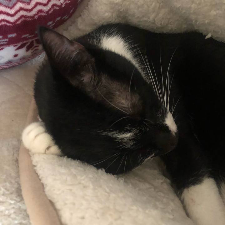 1d426a08 e20f 4a5d beda a7227d5ca242 1602621492602