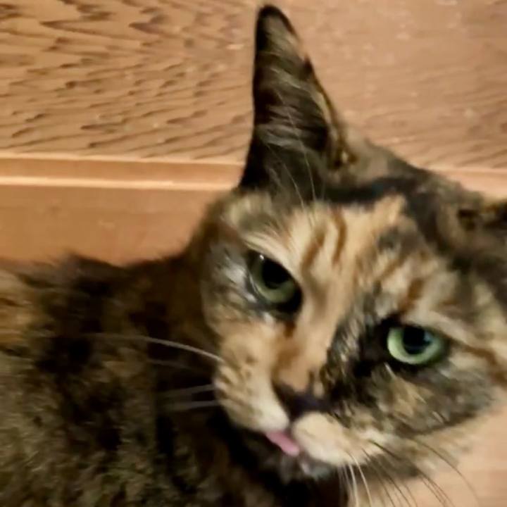 1d427654 26bc 4520 b664 9649ce18c7bd 1738459814443