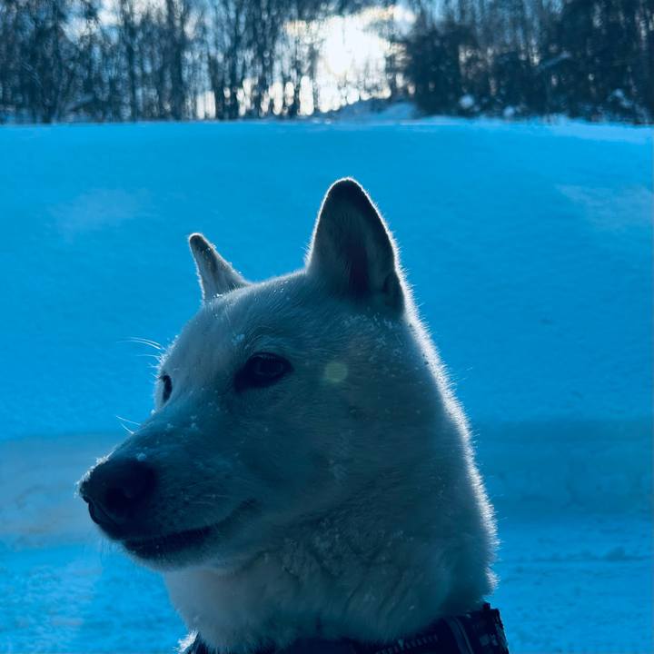 1d428d52 0bb3 45ee 9c81 1c8a37873c4b 1735702674480