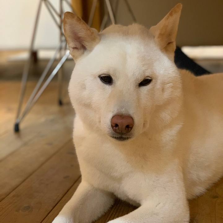 1d4299a0 1d80 4b18 b176 059686f07f84 1565154352524