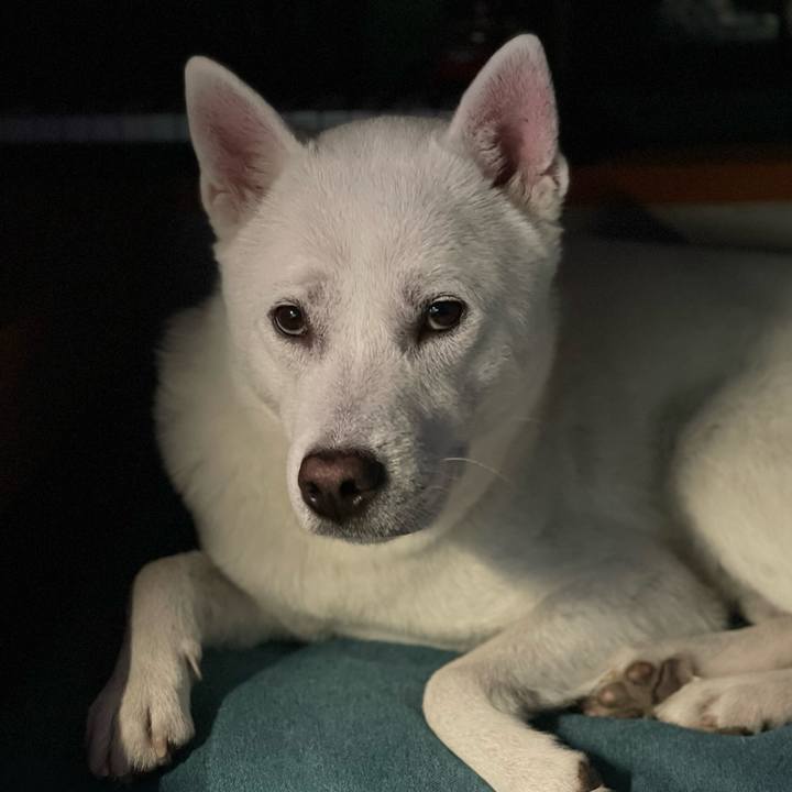 1d42a1e8 4c6f 4d36 9690 2b1f1afde507 1666970801865