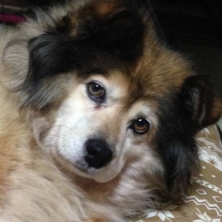 1d42a376 491d 4775 9eea 757e96531cb7 1568634590926