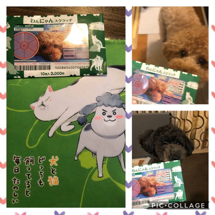 1d42cc66 63d6 477a 8dad de142d270a62 1610185904471