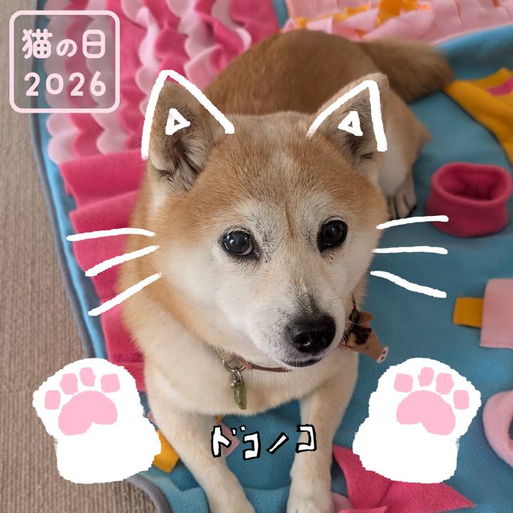 1d42e3b9 7dc1 4653 a910 f1cdcf18cecc 1771710361279