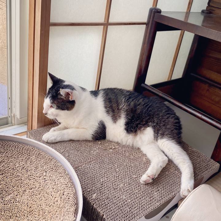 1d431ccb 2eba 4d96 8b99 d4f375eed4a5 1598320039914