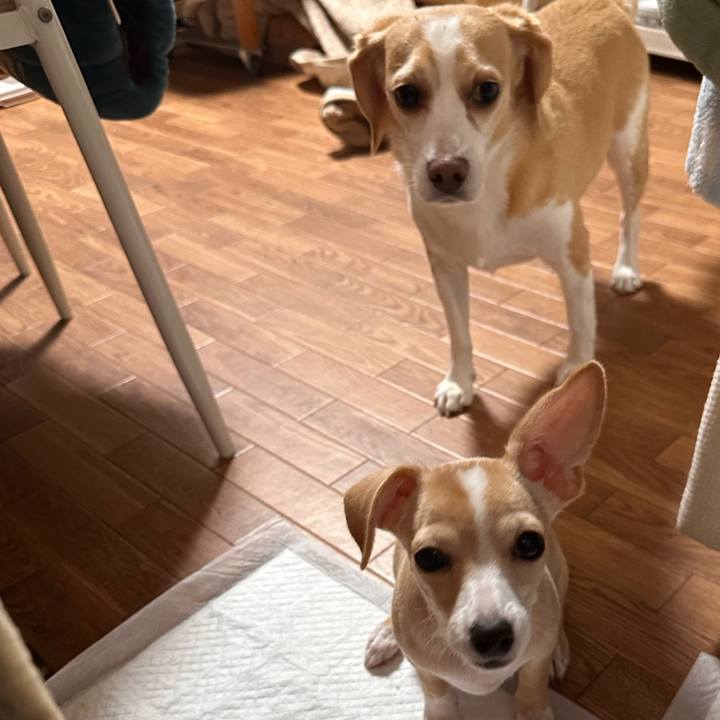 1d432d2c 7c0d 4cbf 8e1f ac92914955bb 1665992598871