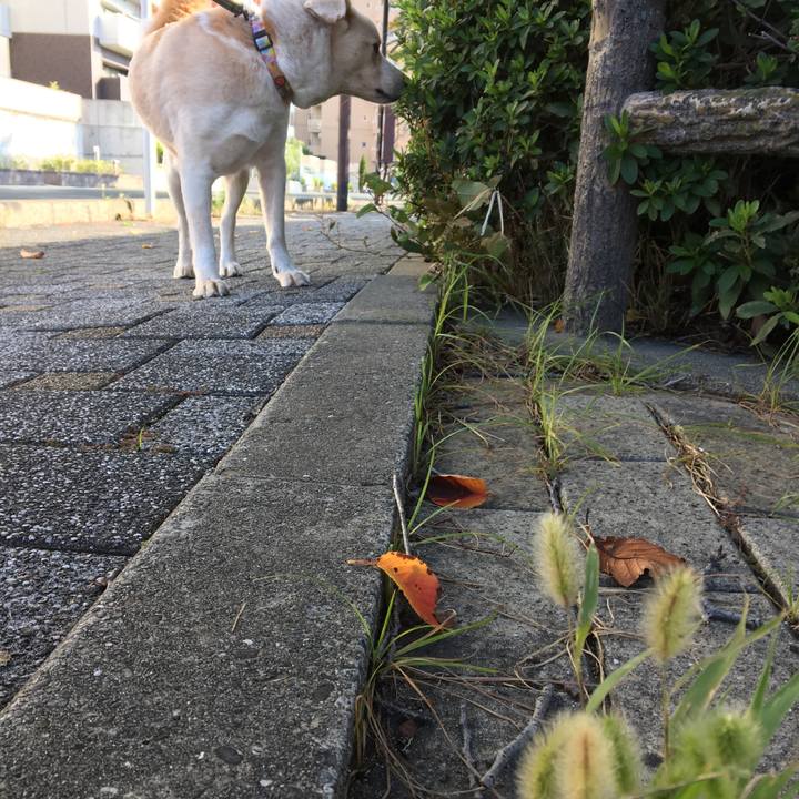 1d4344ca cfe3 4fb7 9487 e68ac6103e13 1509064972161