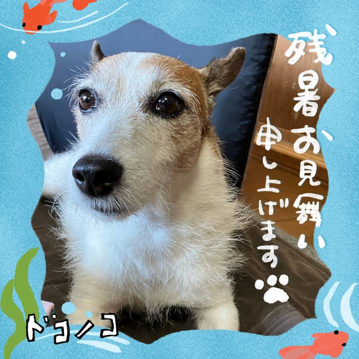 1d43ecf0 1509 439c aadc 4220b3745d45 1723677504341