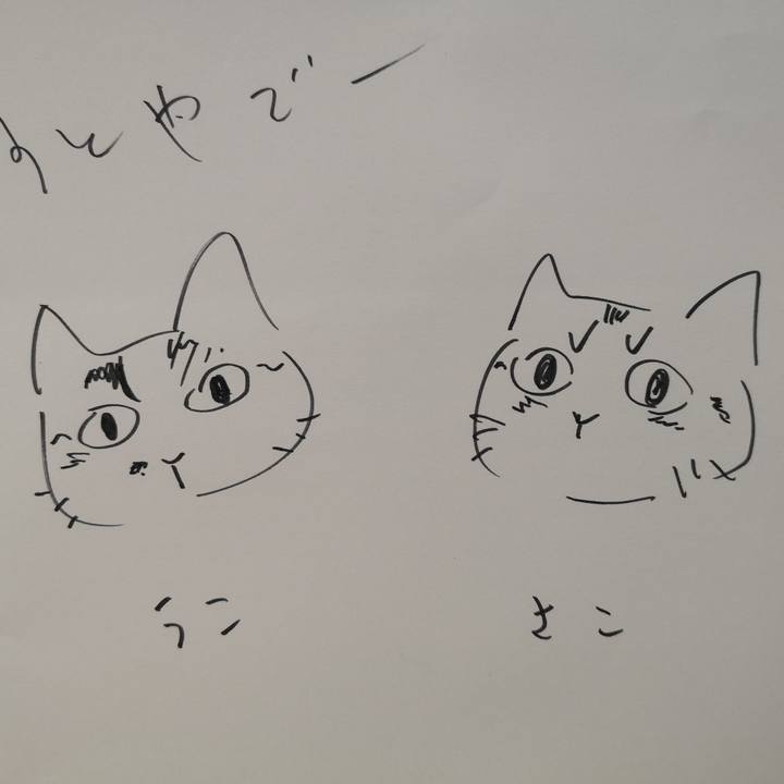 1d440568 b269 4361 bbf5 b091c770b7d2 1560999775304