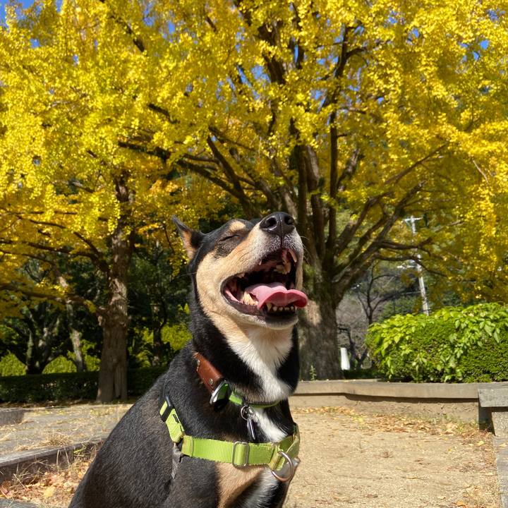 1d442e09 ebea 4f87 83e1 717184629a10 1637328607301