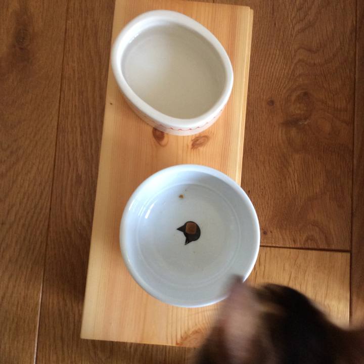 1d44a441 a673 454d a13f b28644716818 1564793858382