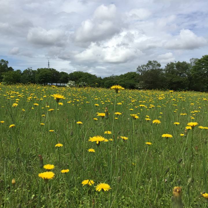 1d44a8e0 141d 403d 88a9 a5b6d36d7dea 1654669245801