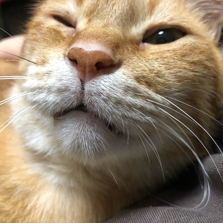 1d45099e 7a02 4809 be7a 8e227a51b533 1635585973756