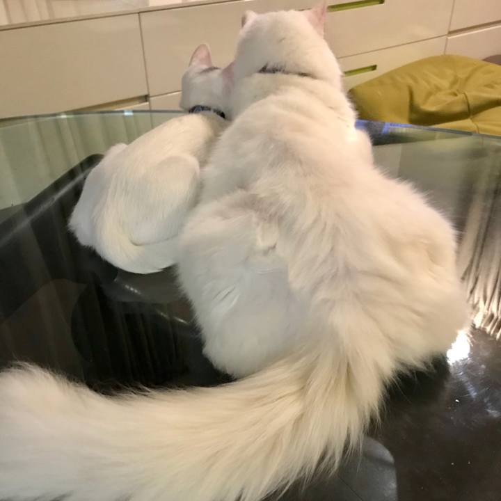 1d450b01 3f47 4089 990c 652e269bf7f2 1568291760140