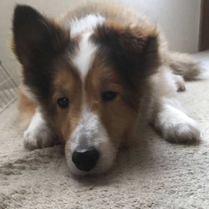 1d45259a c0ed 454f 83e7 3bd00278c8ea 1651565458674