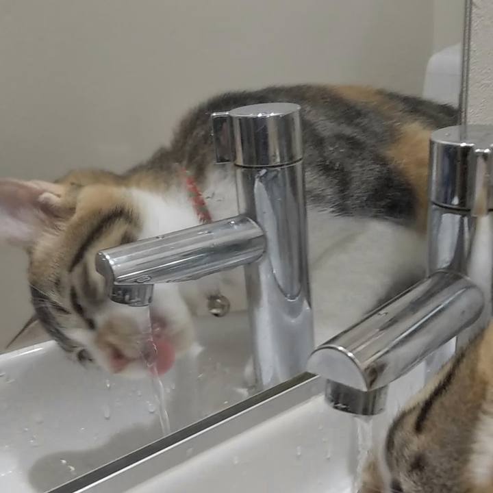 1d4569f0 d6f6 4060 87f7 8d82ad01e459 1630917132407