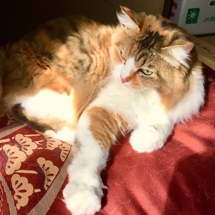 1d45751f 9511 401a b5c3 db562af59c36 1558221183033