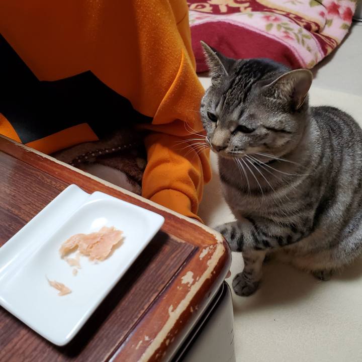 1d457686 7062 4428 94ca 19208014f157 1699889836319