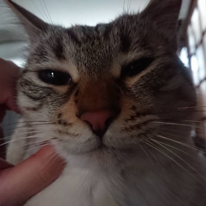 1d45b767 a966 40df 9d0d f6a0577d666a 1589063857044