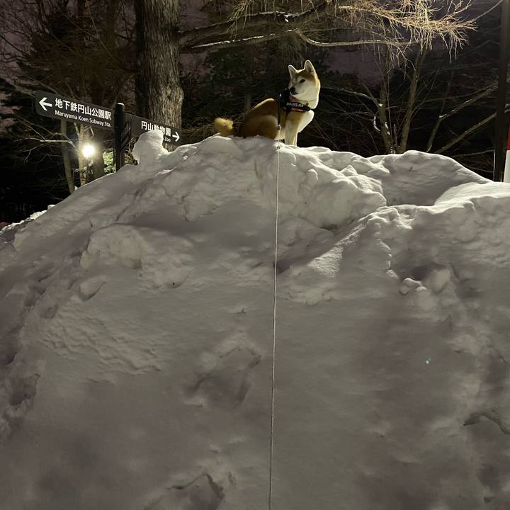 1d45e785 35a0 4a0b a942 7dc747498408 1612445524523