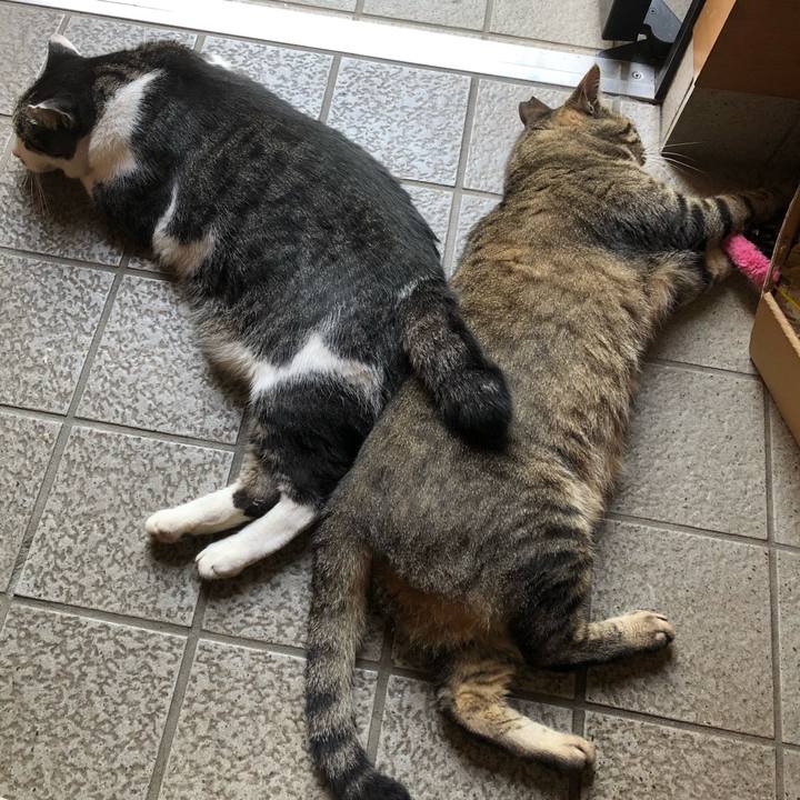 1d4626d9 097f 4007 97b0 f4a969ad93c8 1564621796801