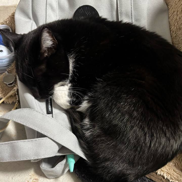 1d46871d e088 4d8d 8c92 e78941b99b71 1768313316037