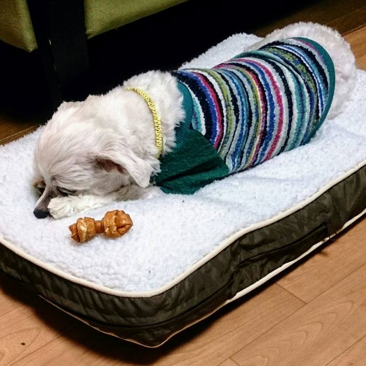 1d468743 6cd8 4205 a463 87b503a3e4d1 1513763261023