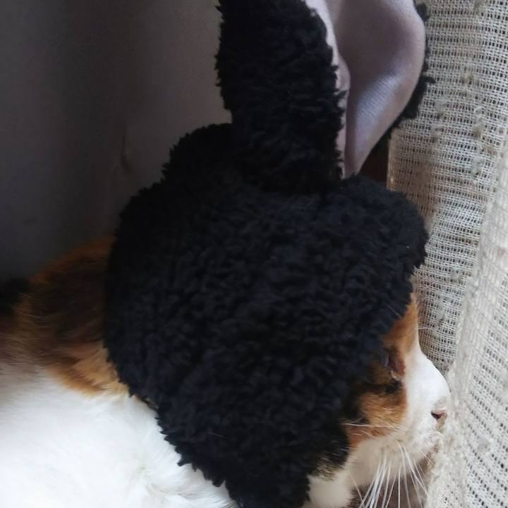 1d46a6af 3eae 4ea8 adb4 9c1d8d0e66b7 1572849707235