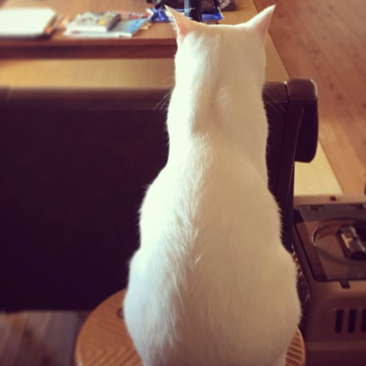 1d46aa88 510f 4e1d a7b8 12d771d1b68e 1585230107526