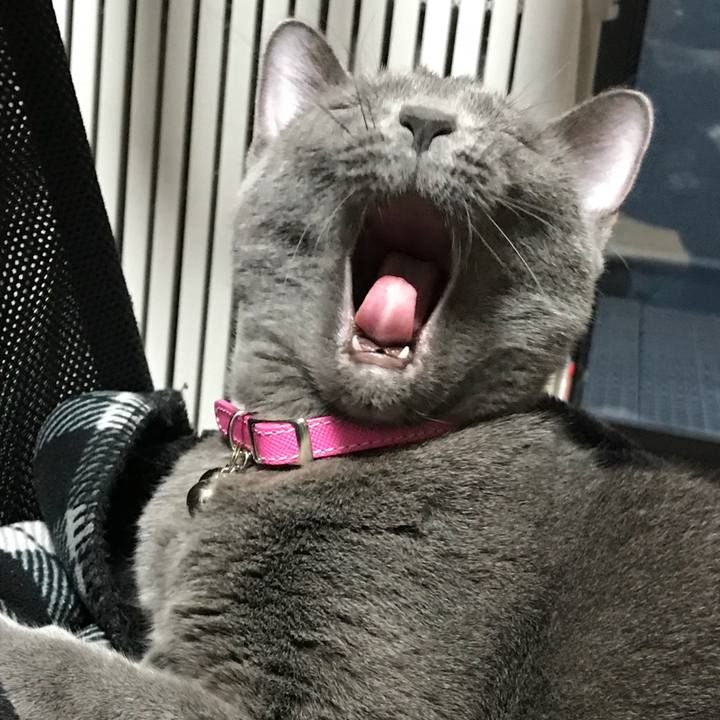 1d46f445 555d 4739 9df1 a01e25e160ae 1524978641431