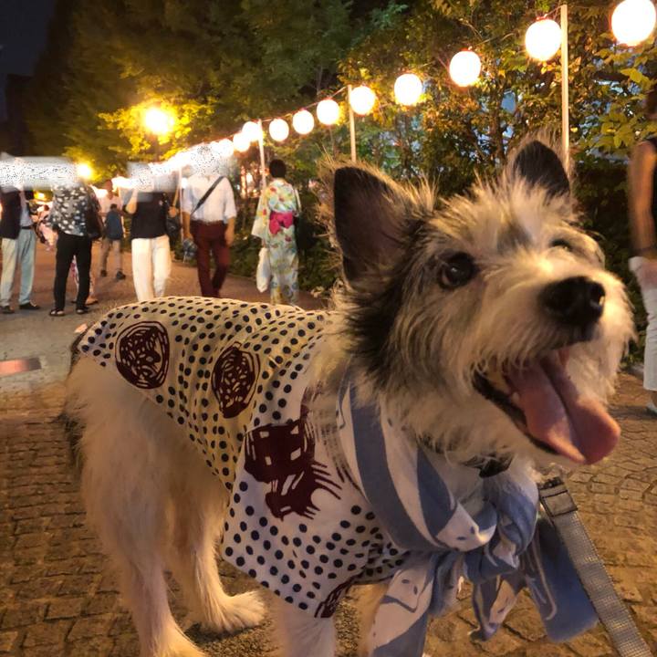 1d471793 3c68 41b8 bbee 00bebaee4f41 1535198898701