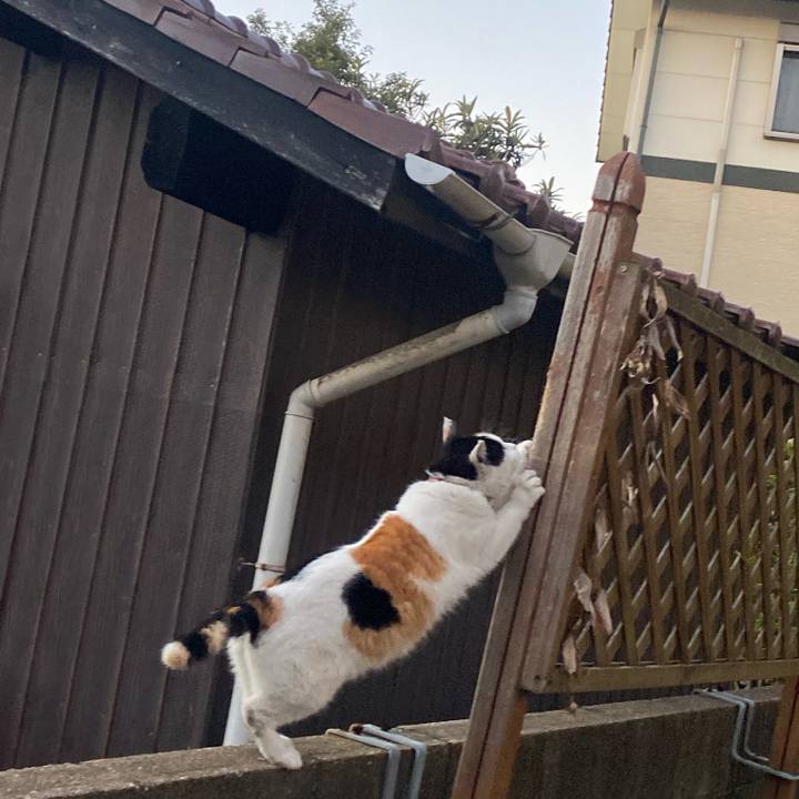 1d479124 2c94 44d7 96cf 6d9e9bb4141a 1641594455023