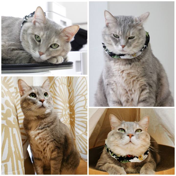 1d48136f ac08 4bf2 b965 fa06a29024cd 1669177756482