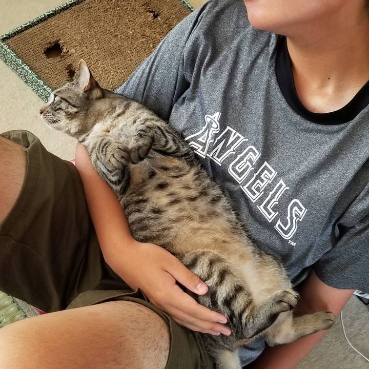 1d4866db 779c 45e4 b7d6 d08ef01428ec 1690908465565