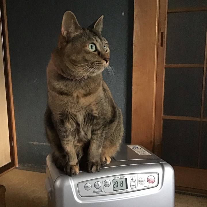 1d489dc6 2999 49fe ae4a 9902faad42f9 1735255797353