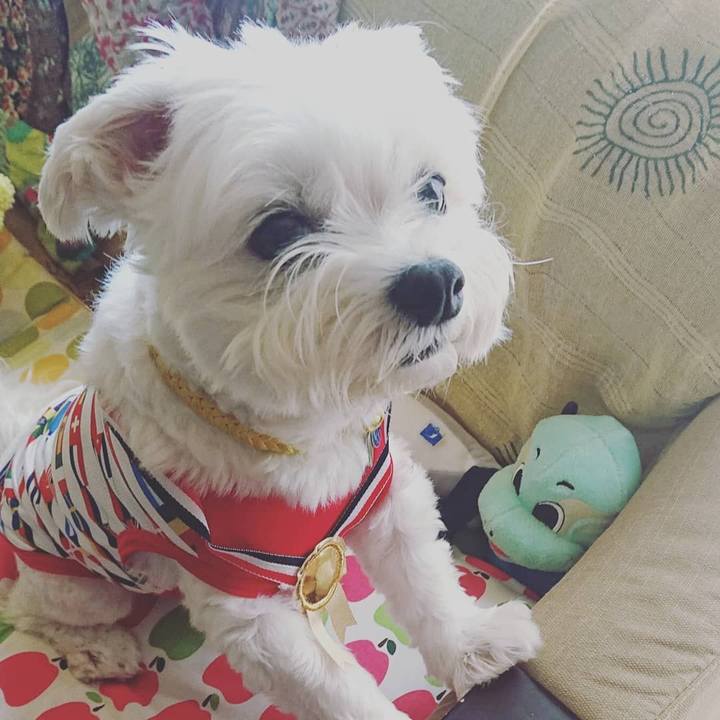 1d48a415 1cd9 474f a472 3f1c31cd8b68 1627991846226