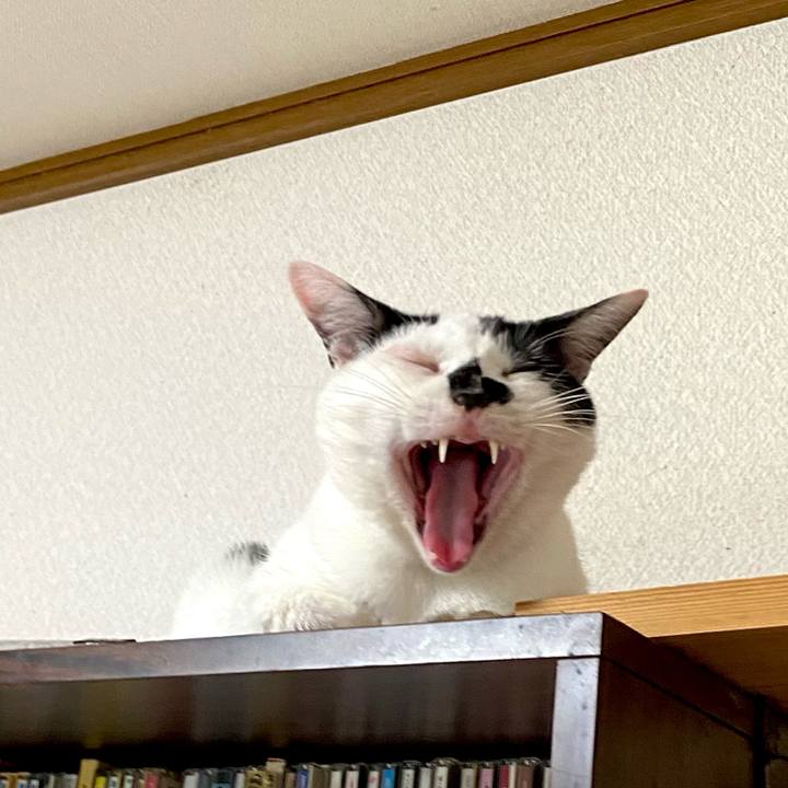 1d48b2e8 16e5 437c 8cec 74a7258ad7d5 1628059662215