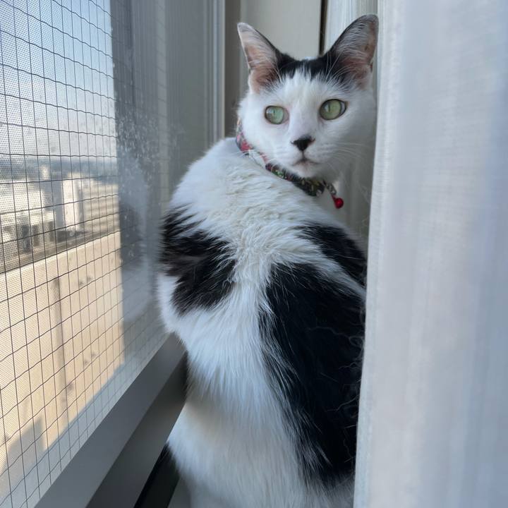 1d48e8e2 4161 4f9c a695 3da2bf22e13a 1633490909601