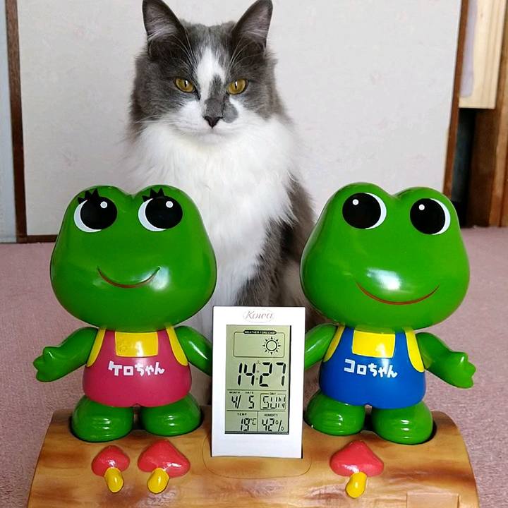 1d490116 8ebe 4329 8275 e8b4d6cf1273 1586065639086