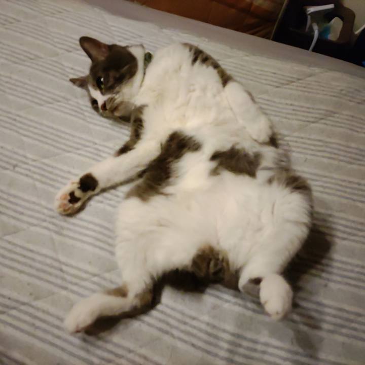 1d491892 8339 4fb1 9678 82b971c49765 1716983858678