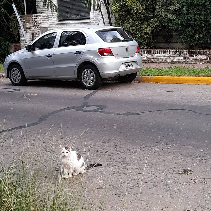 1d494734 5d57 4415 b251 e1a520827457 1767346779030