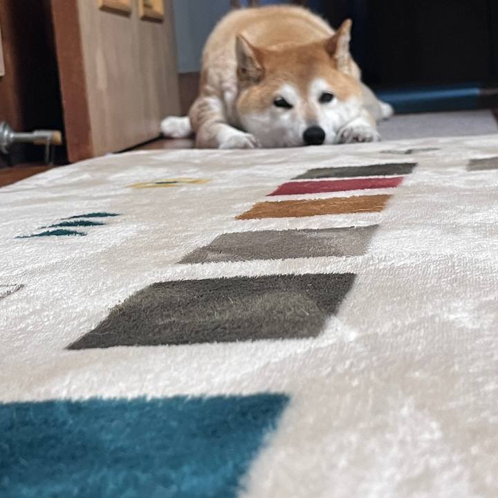 1d497009 e79d 4728 9e2b 2dabb98809e3 1717124573067