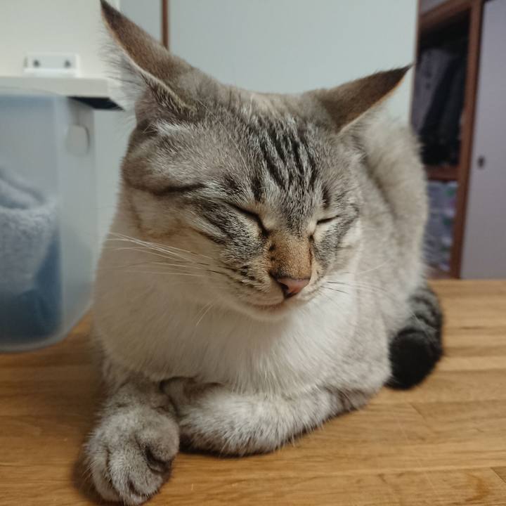 1d49908a b092 4319 81e7 fe84f651633e 1528972350076