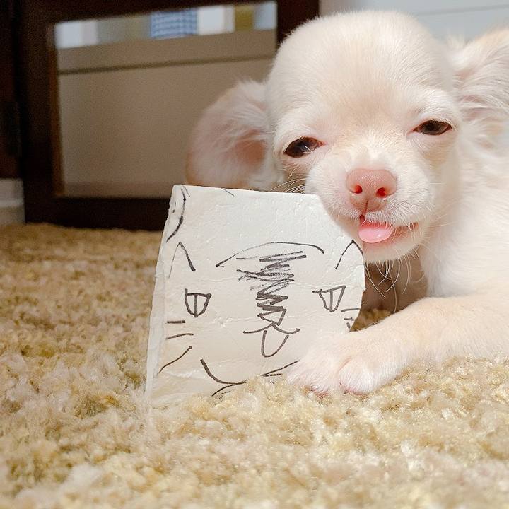 1d499d95 c41d 44d9 8474 875033f09b00 1590799481725