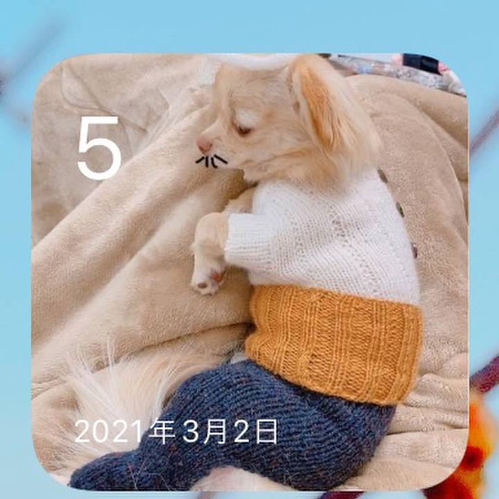 1d49ad3f 6cbc 43b6 9eb3 86721ab1be9e 1646472562390