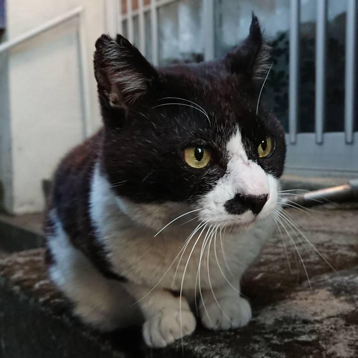 1d49c1d5 87fc 42ef b723 5186ed1e7ad4 1616592861473