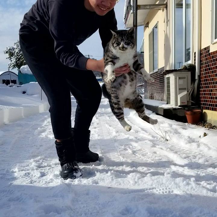 1d49d255 6334 4f7c a45c 9bb27dd1a4bb 1640256942457