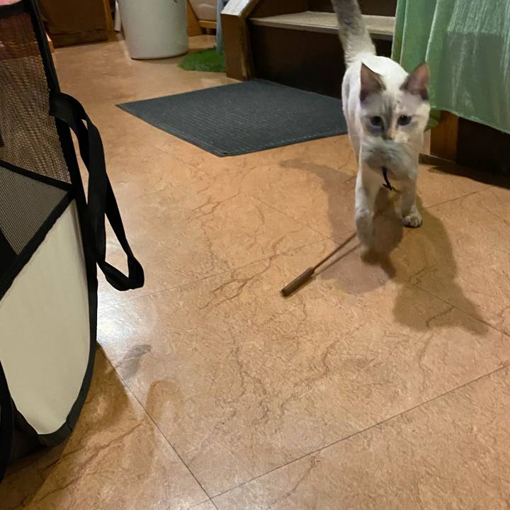 1d49dc72 3765 457d 8c61 8de47a9df8ce 1637832974203