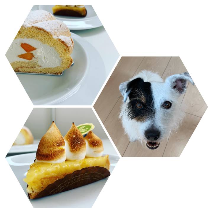 1d49f5ab 94fa 4748 8ae4 d7f2a703acc7 1622261792430