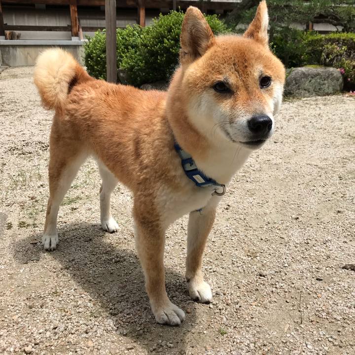 1d4a21a7 d1d5 4525 ad7c 71573eee41a8 1593932673503